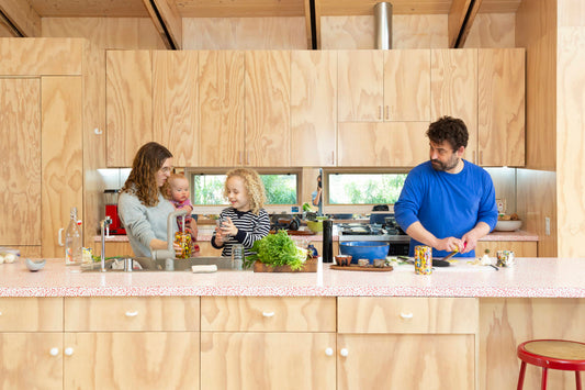 Lizz  and Isaac's Net Zero Home