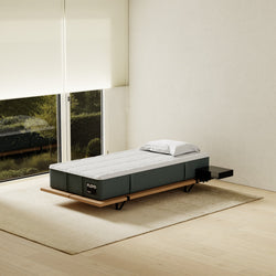 The Mattress 2.0